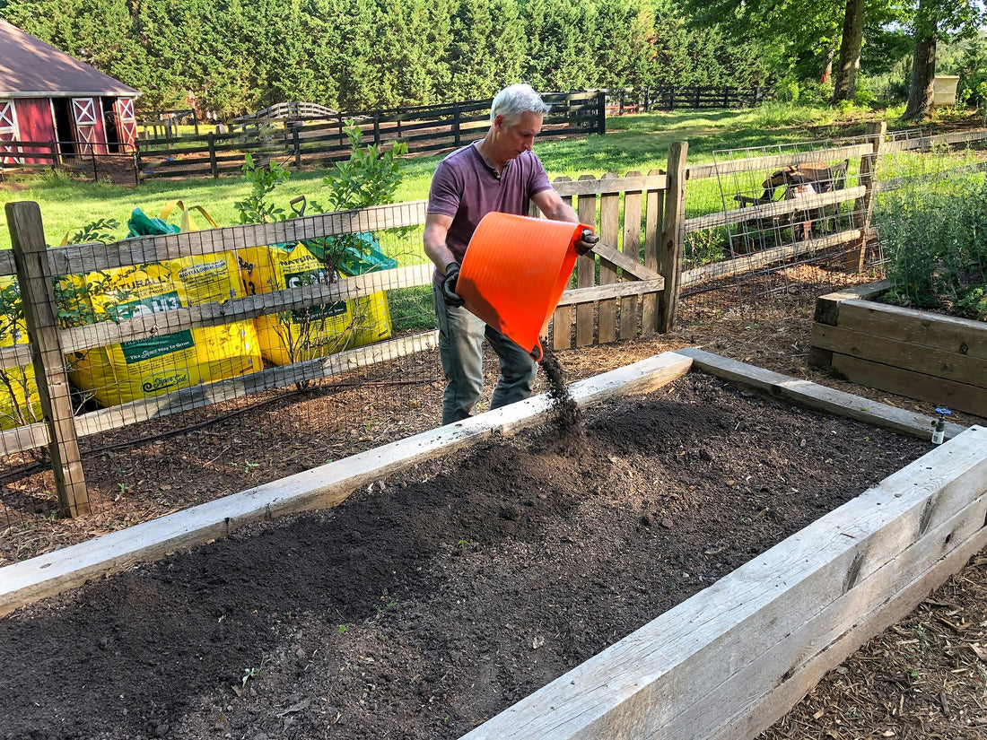 The Soil Food Web: Build A Relationship Between Your Plants And Soil