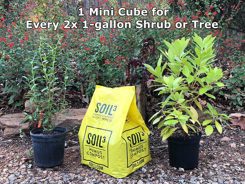 One Soil3 compost Mini Cube for every two 1-gallon plants